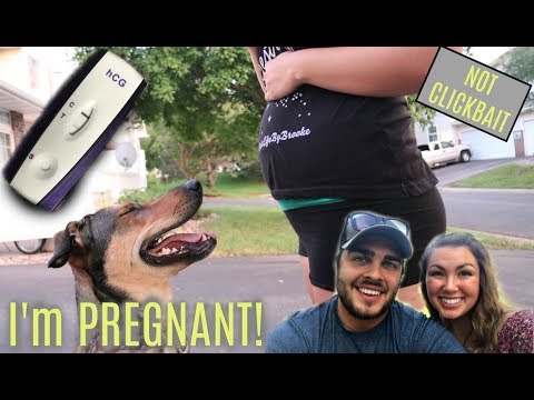 PREGNANT with my FIRST BABY!!! (Telling My Boyfriend + Week 4-6 Updates)