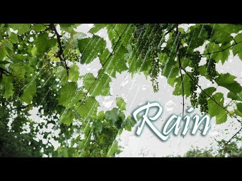 [ ASMR ] Relax Sound Rain 💦☔ [ АСМР ] Релаксирующий звук дождя ☂💧