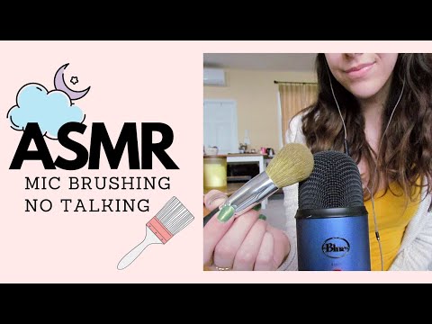 ASMR | Mic Brushing for Your Relaxation (No Talking)