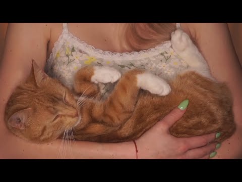 The PURRfect ASMR (Real cozy cat purring)