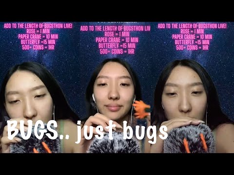 3HR ASMR Bugs…Just Bugs 🐛🐜 (lice check, scalp massage, inaudible whisper)