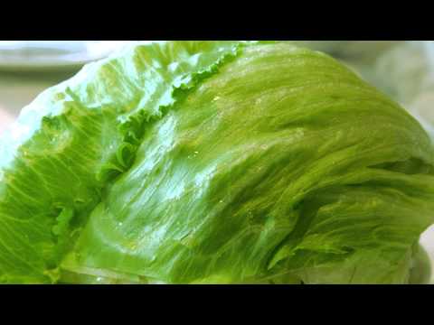 (3D binaural sound) Asmr peeling an iceberg lettuce