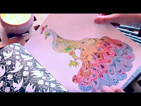 Asmr Coloring While The Sun Sets l Whispered
