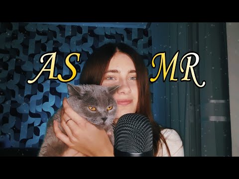 АСМР БОЛТАЛКА ПРО КОТОВ😍 ASMR MY CATS