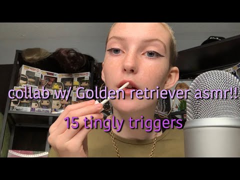 15 triggers in 15 minutes ASMR collab with Golden Retriever ASMR