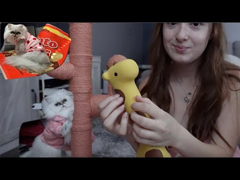 ASMR Haul! Lots of tapping/Scratching💤 cat toys!🐱