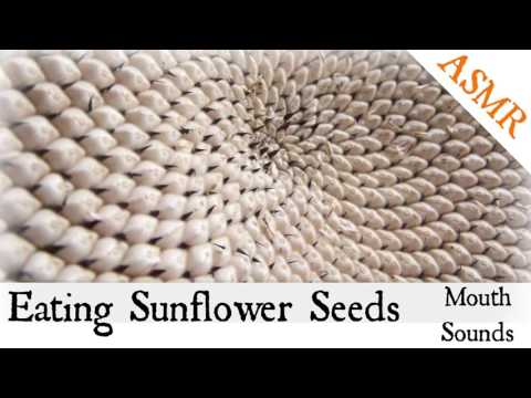 Binaural ASMR Eating Sunflower Seeds l Eating Sounds and Mouth Sounds