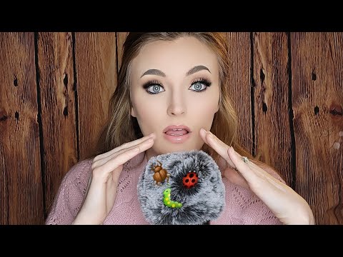 ASMR *Searching for BUGS 🐛 🐞🪲*