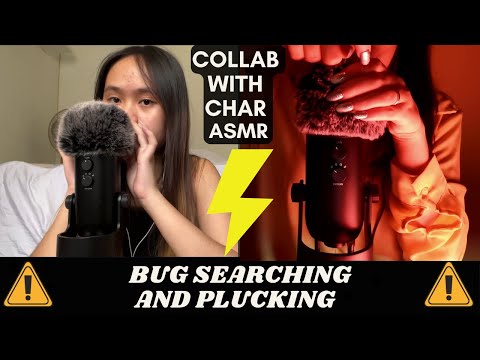 ASMR -  FAST AND AGGRESSIVE BUG SEARCHING, PLUCKING, MASSAGE w/ Char ASMR for your maximum tingles