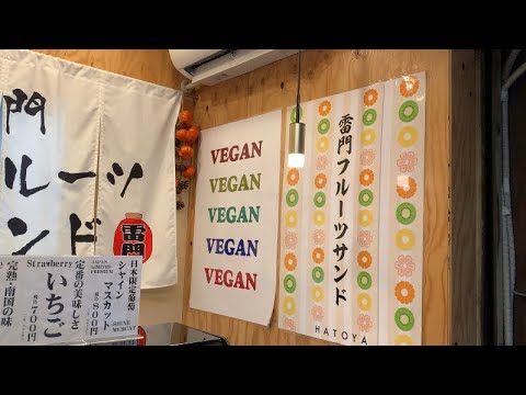 ASMR JAPAN VLOG 🍜 DAY THIRTEEN | shochikuen cafe, kyushu jangara ramen akihabara, mr. farmer