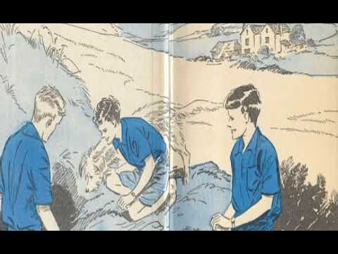 ASMR Reading:  Five On Finniston Farm by Enid Blyton - Chapters 1-3