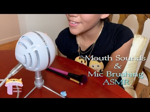 ASMR | MOUTH SOUNDS | BRUSHING on MICROPHONE