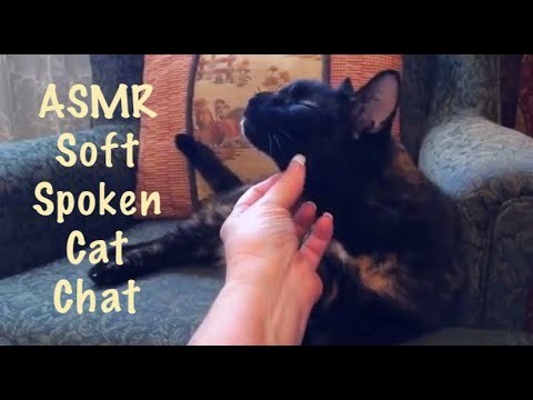 ASMR /REQUEST/ Soft Spoken Cat stories/Story of the crazy cat thief/How I found Xtra Kitty