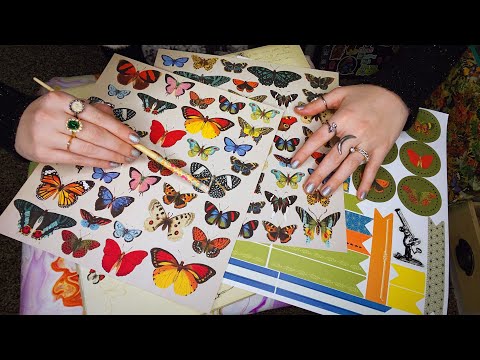 ASMR Scrapbooking Supplies 🦋 Up-Close Whispering To You For Sleep