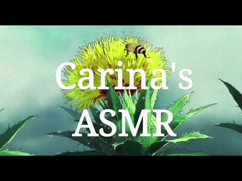 Carina's ASMR/(Like & Subscribe)