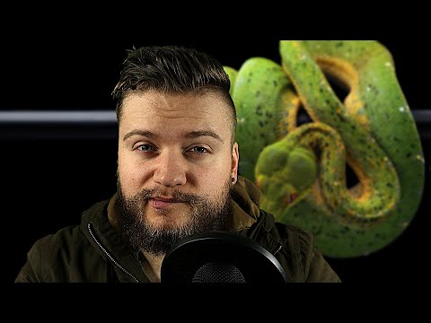 Whispering about Snakes Part 1 (ASMR)