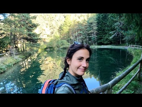 Vieni con me nel bosco 🌲 | ASMR ITA | Nature Vlog 🍄 whispers