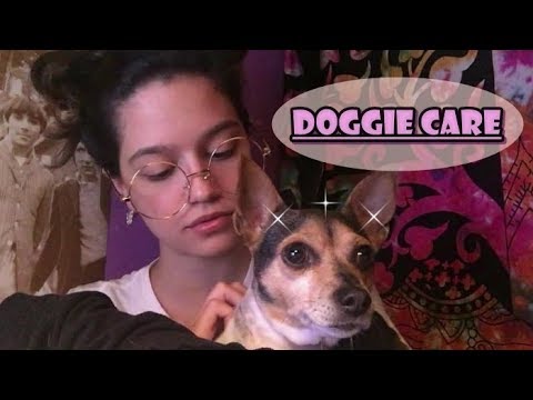 ASMR~ Petting, Scratching, + Brushing Dog (5 Days of Encouragement)