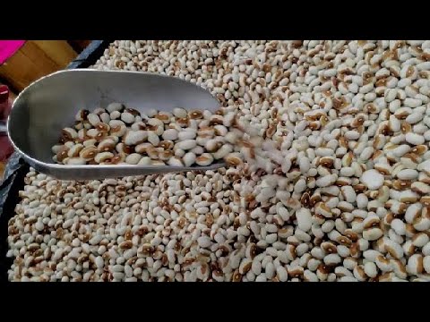 ASMR | Scooping Dried Beans With A Metal Scoop (No Talking)