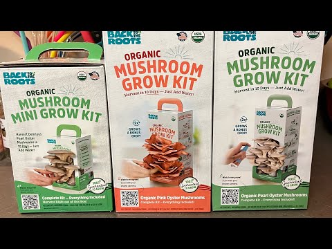 ASMR | Mushroom Grow Kits