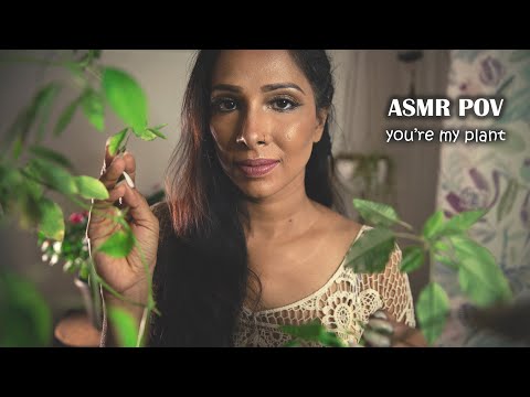 ASMR POV you're my plant I take care of you! Personal attention| crunch sounds| too tingly to handle