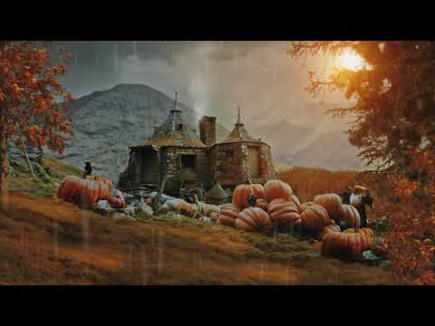 Hogwarts Autumn 🍂 Hagrid's Hut [Musicless] Harry Potter Ambience / Falling Leaves + Rain showers