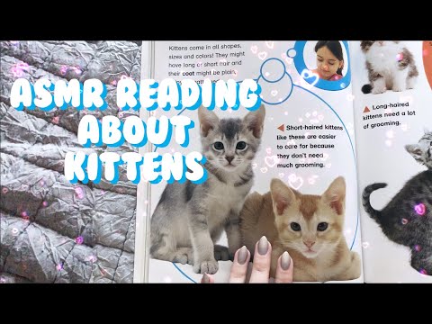 ASMR all about kittens! 🐈 💕 soft whispers