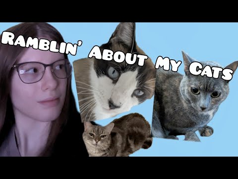 ASMR Some Whisper Rambling About My Cats 🐈😺💤