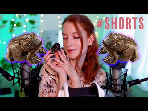 ASMR  #shorts Tingle Toad (Wooden Frog) 🐸 With Whispers