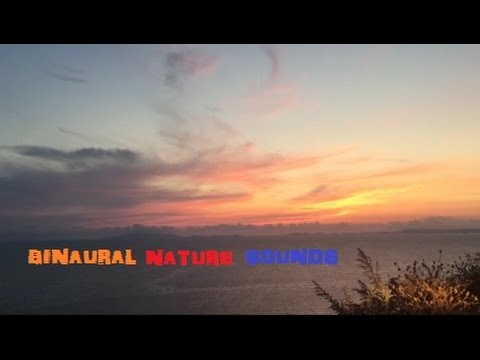ASMR Welcome HOME | Binaural Nature Sounds