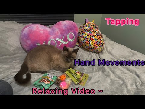 ASMR Hand Movements for sleep  and Tapping , Cat Video ~ Relaxing 🐱