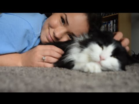 ASMR World’s Cutest Cat | Purring, Eating Snacks | Meet Tilly