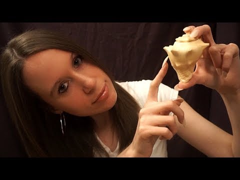 ASMR Gentle Scratch and Tap on Seashells [Whispered]