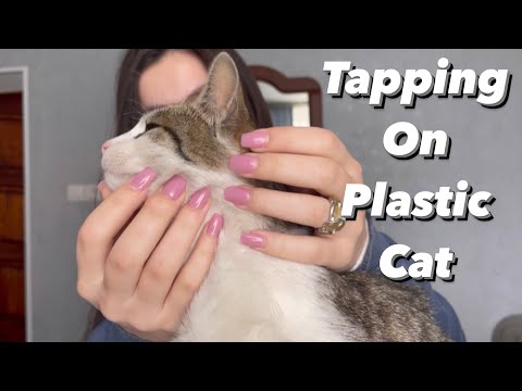 Asmr tapping on plastic cat