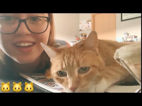 A Failed (But Relaxing?) ASMR Video ft. My Cat
