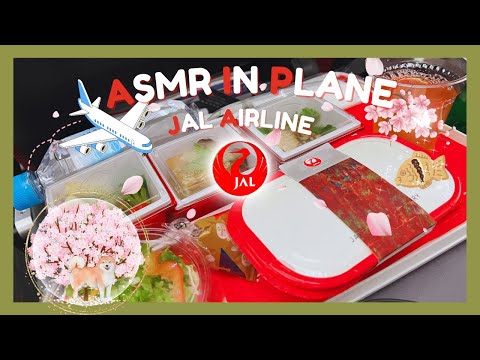 ASMR Tapping in a Plane (JAL🇯🇵)