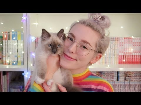 I Tried Filming ASMR With My 16 Week Old Kitten *Disaster* || Purring Sounds & Soft Speaking ASMR