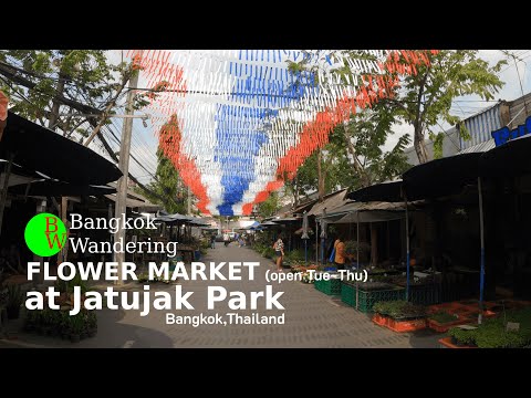 #ASMR #Bangkokwandering [ 4K ] WalkingTour JJ PARK FLOWER MARKET, Thailand