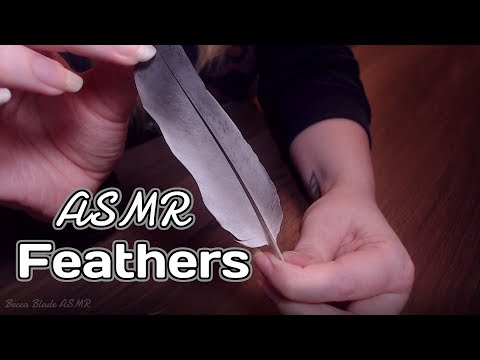 Visual ASMR- Playing with Feathers! *Rubbing/Scratching/Petting*