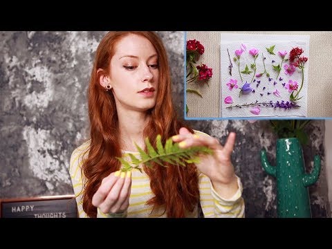 DIY Flower Pressing 🌸 🌼 🌹/ Soft Spoken ASMR Tutorial