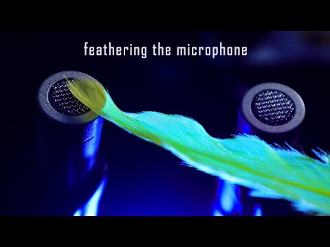 ASMR | Feathering the Microphone - No Talking