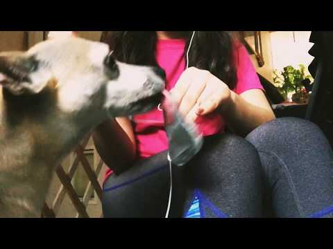 Lunch with Cafélâ~ Eating Asmr(minimal whispers, doggy mouth noises and licking)