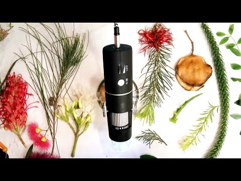 Relax as We Explore the Microscopic World of Plants ASMR