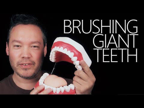 Brushing Giant Teeth! ~ ASMR/Brushing/Binaural