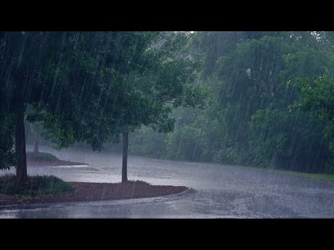 Soft Rain and Thunder 8 Hours ASMR