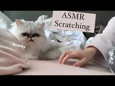 ASMR sheet scratching