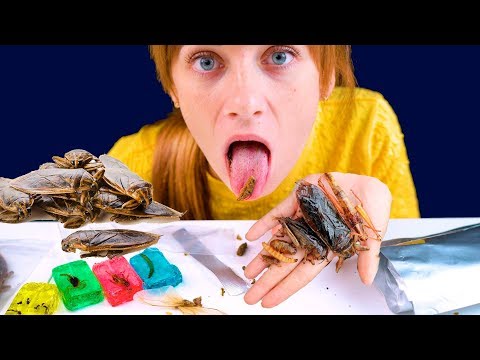 ASMR Fried GIANT Edible BUGS, Insect Sucker Lollipop Scorpion, Ants, Cricket, And Worm