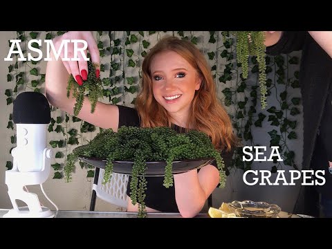 ASMR | Eating RAW SEA GRAPES | Extremely Crunchy Sounds