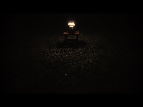Suburban Night Ambience | Crickets, Distant Traffic, Great Horned Owl | Pennsylvania