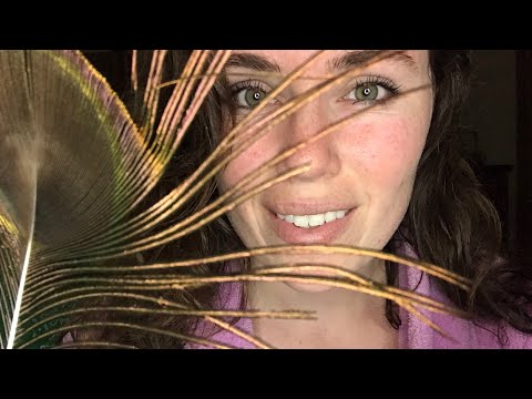 ASMR Go to Sleep Counting Video and Peacock Feather!